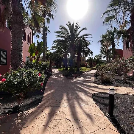 Sun & Sea In コラレホ