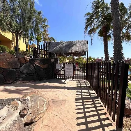 Sun & Sea In コラレホ