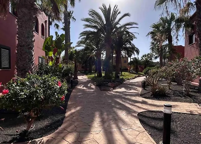 Sun & Sea In コラレホ