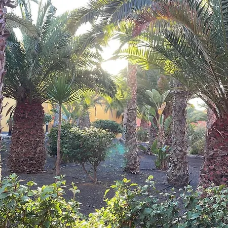 Apartman Sun & Sea In